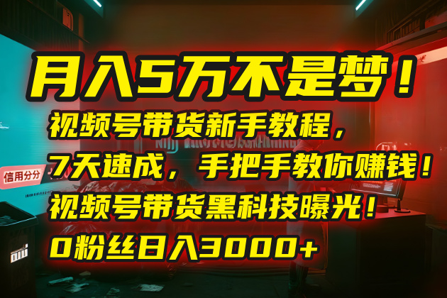 月入5万不是梦！视频号带货新手教程，7天速成，手把手教你赚钱！视频号…-青年网赚