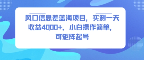 风口信息差蓝海项目，实测一天收益4k+，小白操作简单，可矩阵起号-青年网赚