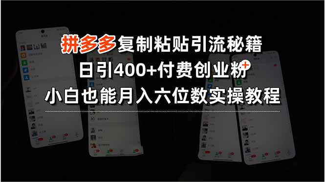拼多多复制粘贴引流秘籍，日引400+付费创业粉，小白也能月入六位数实操…-青年网赚